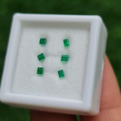 พลอย มรกต Natural Emerald แซมเบีย 0.32 กะรัต (Cts.) 5 เม็ด พลอยแท้ อัญมณีมงคลประจําวันเกิด เครื่องประดับพลอย