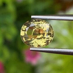 พลอย คริโซเบริล (Chrysoberyl) 1.68 กะรัต (Cts.) พลอยแท้ อัญมณีมงคลประจําวันเกิด เครื่องประดับพลอย