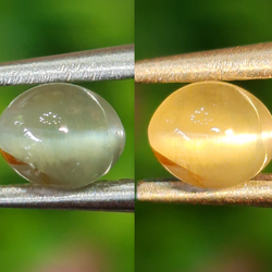 พลอย ตาแมว อเล็กซานไดร์ Cat eye Alexandrite 0.75 กะรัต (Cts.) พร้อมใบเซอร์ พลอยแท้ อัญมณีมงคลประจําวันเกิด เครื่องประดับพลอย