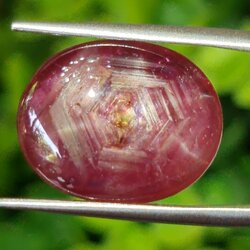 พลอย ทับทิม สตาร์ แซฟไฟร์ Ruby Star Sapphire 13.14 กะรัต (Cts.) พลอยแท้ อัญมณีมงคลประจําวันเกิด เครื่องประดับพลอย