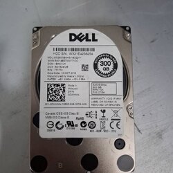 Harddisk Server SAS 300GB 6Gbps 10K