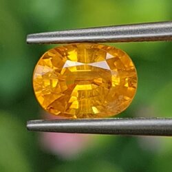 พลอย บุษราคัม yellow sapphire 2.66 กะรัต (Cts.) พลอยแท้ อัญมณีมงคลประจําวันเกิด เครื่องประดับพลอย