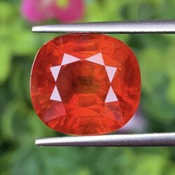 พลอย บุษราคัม yellow sapphire 10.46 กะรัต (Cts.) *สีพิเศษ ส้มหมากสุก* พร้อมใบเซอร์ พลอยแท้ อัญมณีมงคลประจําวันเกิด เครื่องประดับพลอย