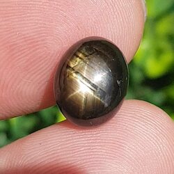 พลอย แบล็ค สตาร์ แซฟไฟร์ Black Star Sapphire 8.60 กะรัต (Cts.) ดิบ Unheated พลอยแท้ อัญมณีมงคลประจําวันเกิด เครื่องประดับพลอย