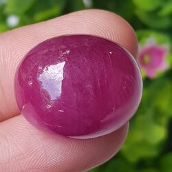 พลอย ทับทิม (Ruby Sapphire) 52.75 กะรัต (Cts.) พลอยแท้ อัญมณีมงคลประจําวันเกิด เครื่องประดับพลอย