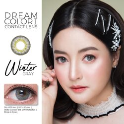 Dream color สีเทา