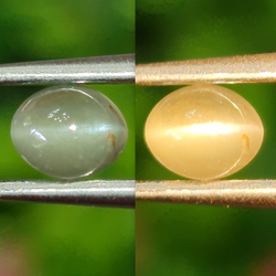 พลอย ตาแมว อเล็กซานไดร์ Cat eye Alexandrite 0.56 กะรัต (Cts.) พร้อมใบเซอร์ พลอยแท้ อัญมณีมงคลประจําวันเกิด เครื่องประดับพลอย