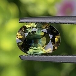 พลอย แซฟไฟร์ 2 สี Bi Color Sapphire 1.50 กะรัต (Cts.) พลอยแท้ อัญมณีมงคลประจําวันเกิด เครื่องประดับพลอย