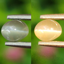 พลอย ตาแมว อเล็กซานไดร์ Cat eye Alexandrite 0.53 กะรัต (Cts.) พร้อมใบเซอร์ พลอยแท้ อัญมณีมงคลประจําวันเกิด เครื่องประดับพลอย