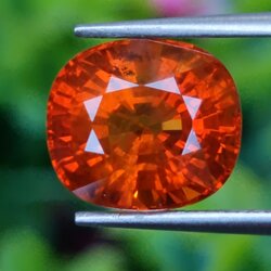 พลอย บุษราคัม yellow sapphire 7.38 กะรัต (Cts.) สีพิเศษ *สีส้มหมากสุก* พร้อมใบเซอร์ พลอยแท้ อัญมณีมงคลประจําวันเกิด เครื่องประดับพลอย