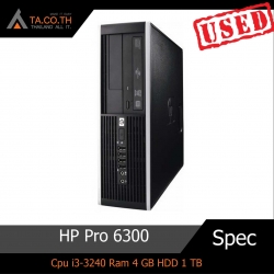 HP Pro 6300