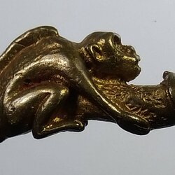 ร029 ปลัดขิกลิงเกาะ