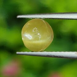 พลอย ตาแมว คริโซเบริล Cat eye Chrysoberyl 1.62 กะรัต (Cts.) พลอยแท้ อัญมณีมงคลประจําวันเกิด เครื่องประดับพลอย