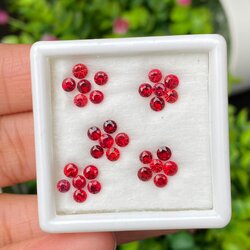 พลอย ทับทิม ซองเจีย Songea Ruby sapphire 30 เม็ด 4.04 กะรัต (Cts.) พลอยแท้ อัญมณีมงคลประจําวันเกิด เครื่องประดับพลอย