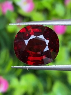 พลอย โกเมน Pyrope - Almandite Garnet 6.55 กะรัต (Cts.) พร้อมใบเซอร์ พลอยแท้ อัญมณีมงคลประจําวันเกิด เครื่องประดับพลอย