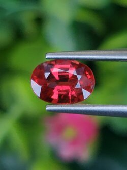 พลอย ทับทิม ซองเจีย Songea Ruby Sapphire 1.05 กะรัต (Cts.) พลอยแท้ อัญมณีมงคลประจําวันเกิด เครื่องประดับพลอย