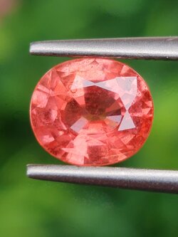 พลอย ออเรนจ์ แซฟไฟร์ Orange Sapphire 1.30 กะรัต (Cts.) พลอยแท้ อัญมณีมงคลประจําวันเกิด เครื่องประดับพลอย