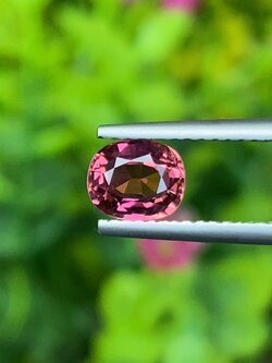 พลอย ทัวร์มารีน (Tourmaline) 0.80 กะรัต (Cts.) อัญมณีมงคลประจําวันเกิด เครื่องประดับพลอย