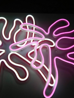 ป้ายไฟนีออน flex