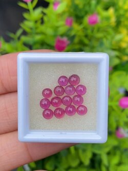 พลอย ทับทิม (Ruby Sapphire) 14 เม็ด 3.90 กะรัต (Cts.) พลอยแท้ อัญมณีมงคลประจําวันเกิด เครื่องประดับพลอย