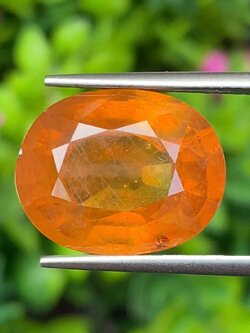 พลอย บุษราคัม เผาใหม่ yellow sapphire 16.97 กะรัต (Cts.) พลอยแท้ อัญมณีมงคลประจําวันเกิด เครื่องประดับพลอย