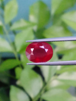 พลอย ทับทิม Ruby sapphire 3.49 กะรัต (Cts.) VS พลอยแท้ อัญมณีมงคลประจําวันเกิด เครื่องประดับพลอย