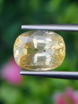 พลอย บุษราคัม Yellow Sapphire 3.45 กะรัต (Cts.) พลอยแท้ อัญมณีมงคลประจําวันเกิด เครื่องประดับพลอย