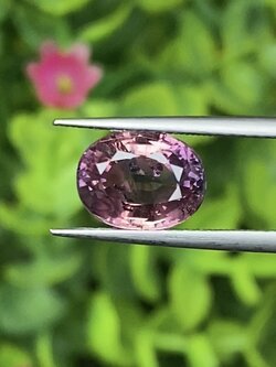 พลอย ชมพู ส้ม Orangy Pink Sapphire 3.54 กะรัต (Cts.) พร้อมใบเซอร์ พลอยแท้ อัญมณีมงคลประจําวันเกิด เครื่องประดับพลอย