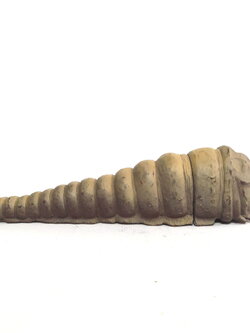 มีหลายภาพ,ซอฟขนาด 7 นิ้ว หนอนตัวอ่อน มอธร่า ตัวสีอ่อน bandai 1996 ขนาดตามรูป มือสองสภาพดี หายาก ไม่พบบ่อย