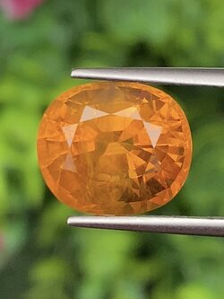 พลอย บุษราคัม yellow sapphire 9.24 กะรัต (Cts.) พร้อมใบเซอร์ พลอยแท้ อัญมณีมงคลประจําวันเกิด เครื่องประดับพลอย