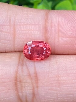 พลอย ซองเจีย ส้มอมชมพู (Pinkish Orange Sapphire) 2.31 กะรัต (Cts.) พลอยแท้ อัญมณีมงคลประจําวันเกิด เครื่องประดับพลอย