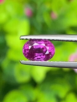 พลอย ชมพู พิ้ง แซฟไฟร์ Pink Sapphire 1.13 กะรัต (Cts.) พร้อมใบเซอร์ พลอยแท้ อัญมณีมงคลประจําวันเกิด เครื่องประดับพลอย