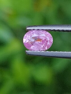 พลอย ชมพู พิ้ง แซฟไฟร์ Pink Sapphire 0.54 กะรัต (Cts.) พลอยแท้ อัญมณีมงคลประจําวันเกิด เครื่องประดับพลอย