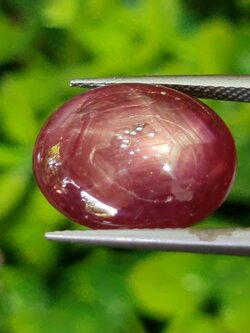 พลอย ทับทิม สตาร์ แซฟไฟร์ Ruby Star Sapphire 10.17 กะรัต (Cts.) พลอยแท้ อัญมณีมงคลประจําวันเกิด เครื่องประดับพลอย