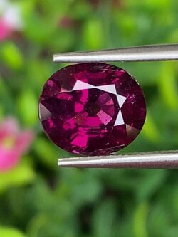 พลอย โรโดไลต์ กาเน็ท Rhodolite Garnet 3.67 กะรัต Cts.พลอยแท้ อัญมณีมงคลประจําวันเกิด เครื่องประดับพลอย