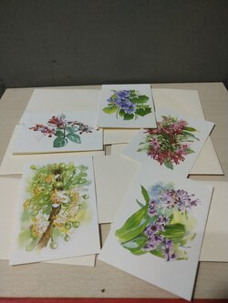 มีหลายภาพ ,เก่าเก็บ สคส การ์ด ภาพดอกไม้นานาชนิด (ราคาใบละ) ผลงานจาก มูลนิธิสายใจไทย ขนาดประมาณ 10*6.8 ซม. เป็นการ์เปล่า ไม่มีคำอวยพรด้านใน พร้อมซอง