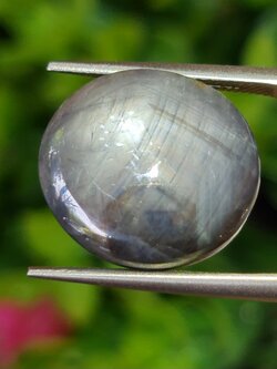 พลอย แบล็ค สตาร์ แซฟไฟร์ Black Star Sapphire 28.89 กะรัต (Cts.) ดิบ Unheated พลอยแท้ อัญมณีมงคลประจําวันเกิด เครื่องประดับพลอย