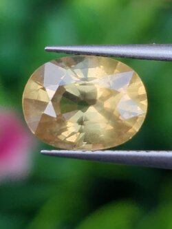 พลอย บุษราคัม yellow sapphire 2.39 กะรัต (Cts.) ดิบ พร้อมใบเซอร์ พลอยแท้ อัญมณีมงคลประจําวันเกิด เครื่องประดับพลอย