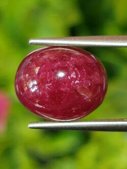 พลอย ทับทิม (Ruby Sapphire) 8.36 กะรัต (Cts.) พลอยแท้ อัญมณีมงคลประจําวันเกิด เครื่องประดับพลอย