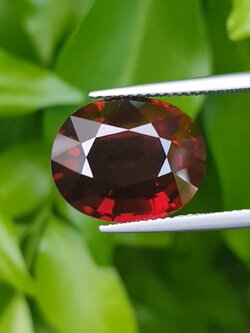 พลอย โรโดไลต์ กาเน็ท Rhodolite Garnet 11.56 กะรัต Cts. พร้อมใบเซอร์ พลอยแท้ อัญมณีมงคลประจําวันเกิด เครื่องประดับพลอย
