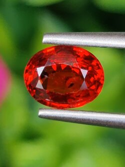 พลอย ทับทิม ซองเจีย Songea Ruby Sapphire 1.09 กะรัต (Cts.) พลอยแท้ อัญมณีมงคลประจําวันเกิด เครื่องประดับพลอย