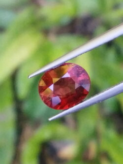 พลอย รูเบลไลต์ ทัวร์มาลีน Rubellite Tourmaline 1.83 กะรัต (Cts.克拉) พลอยแท้ อัญมณีมงคลประจําวันเกิด เครื่องประดับพลอย