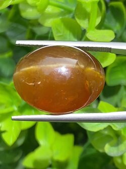 พลอย ตาแมว อะพาไทต์ Cat eye Apatite 25.00 กะรัต (Cts.) พลอยแท้ อัญมณีมงคลประจําวันเกิด เครื่องประดับพลอย