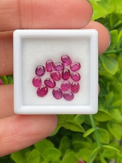 พลอย ทับทิม สยาม Siam Ruby sapphire 15 เม็ด 3.38 กะรัต (Cts.) พลอยแท้ อัญมณีมงคลประจําวันเกิด เครื่องประดับพลอย