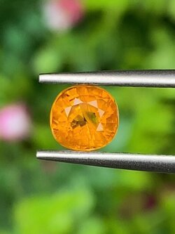 พลอย บุษราคัม yellow sapphire 1.11 กะรัต (Cts.) พลอยแท้ อัญมณีมงคลประจําวันเกิด เครื่องประดับพลอย