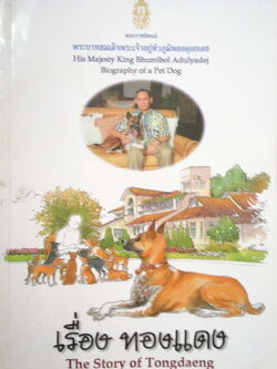 หนังสือเก่า มีตำหนิ โปรตรวจสอบทุกภาพ พระราชนิพนธ์ พระบาทสมเด็จพระเจ้าอยู่หัวภูมิพลอดุลยเดช His Majesty King Bhumibol Adulyadej Biography of a Pet Dog เรื่อง ทองแดง ฉบับการ์ตูน พิมพ์ซ้ำครั้งที่ 1 พฤศจิกายน 2547 ผู้เขียนการ์ตูนประกอบพระราชนิพนธ์ : ชัย ราชวั