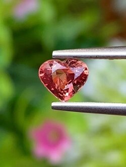 พลอย ออเรนจ์ แซฟไฟร์ Orange Sapphire 0.59 กะรัต (Cts.) พลอยแท้ อัญมณีมงคลประจําวันเกิด เครื่องประดับพลอย