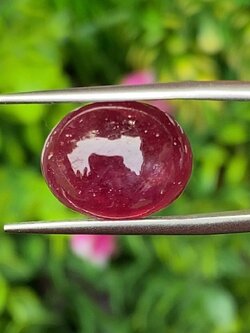 พลอย ทับทิม (Ruby Sapphire) 12.62 กะรัต (Cts.) พลอยแท้ อัญมณีมงคลประจําวันเกิด เครื่องประดับพลอย