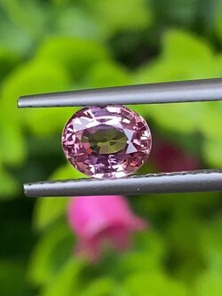 พลอย ชมพู ส้ม แซฟไฟร์ Orangy Pink Sapphire 0.81 กะรัต (Cts.) พลอยแท้ อัญมณีมงคลประจําวันเกิด เครื่องประดับพลอย