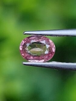 พลอย ทับทิม Ruby sapphire สยาม 0.52 กะรัต (Cts.) พลอยแท้ อัญมณีมงคลประจําวันเกิด เครื่องประดับพลอย